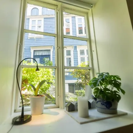 Dinbnb Homes I Cozy Cellar In Historical Cobblestone Street